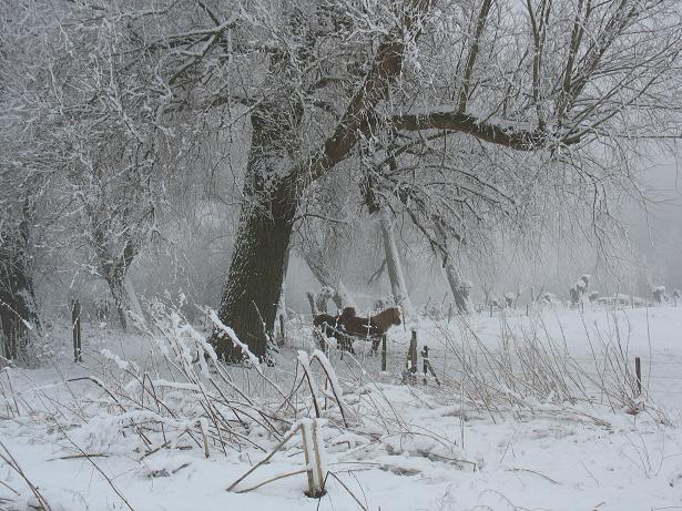 Winter AGAIN